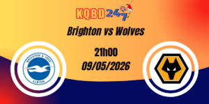 Nhận Định Brighton vs Wolves Ngoại Hạng Anh 09/05/2026